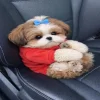😶‍🌫️ Эмодзи «Doggy» для Telegram