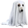 💀 Эмодзи «Doggy» для Telegram