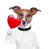 🐶 Эмодзи «Собака.» для Telegram