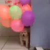 🎈 Эмодзи «Dogs» для Telegram