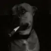 🙁 Эмодзи «Dogs» для Telegram