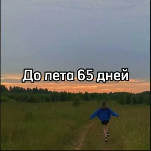 ☀️ Стикер «До лета осталось» для Telegram