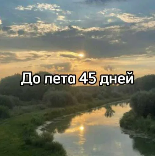 ☀️ Стикер «До лета осталось» для Telegram