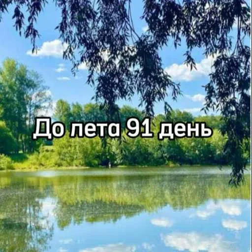 ☀️ Стикер «До лета осталось» для Telegram