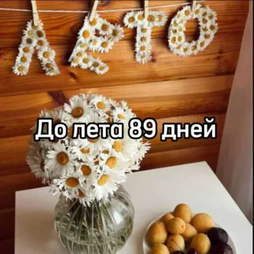 ☀️ Стикер «До лета осталось» для Telegram
