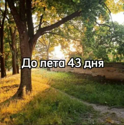 ☀️ Стикер «До лета осталось» для Telegram