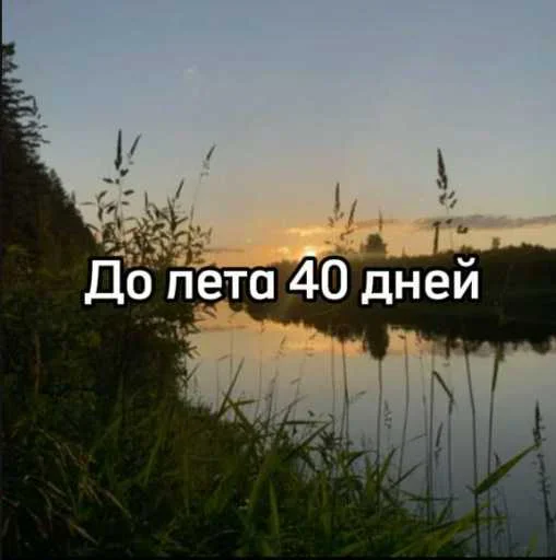 ☀️ Стикер «До лета осталось» для Telegram