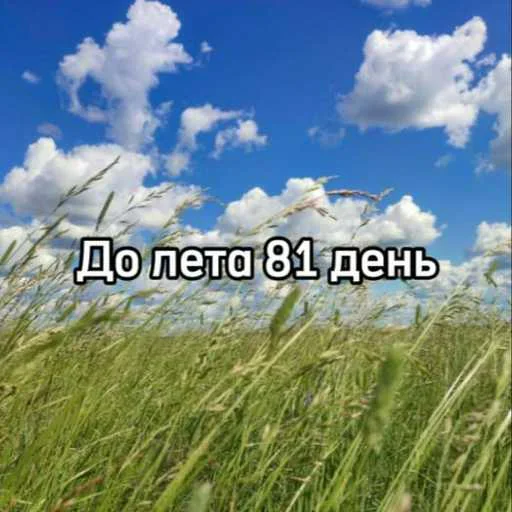 ☀️ Стикер «До лета осталось» для Telegram