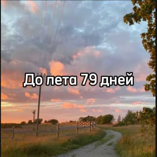 ☀️ Стикер «До лета осталось» для Telegram
