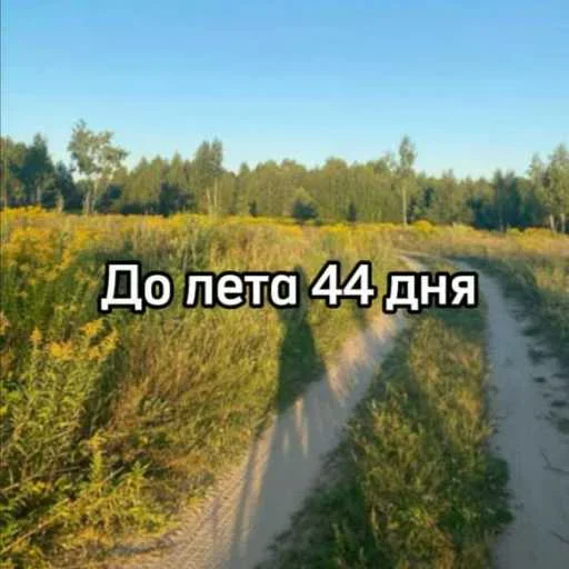 ☀️ Стикер «До лета осталось» для Telegram