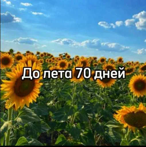 ☀️ Стикер «До лета осталось» для Telegram