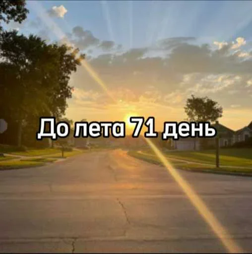 ☀️ Стикер «До лета осталось» для Telegram