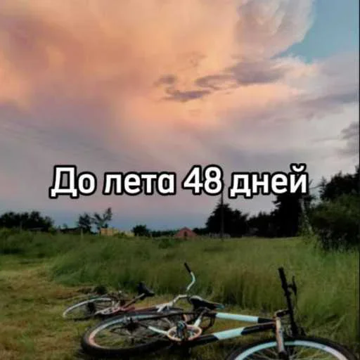☀️ Стикер «До лета осталось» для Telegram