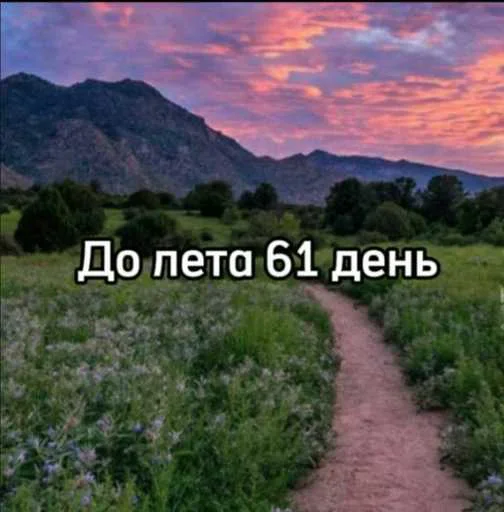 ☀️ Стикер «До лета осталось» для Telegram