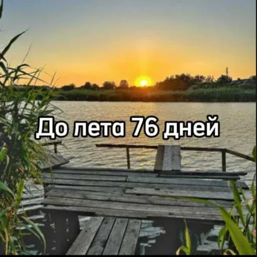 ☀️ Стикер «До лета осталось» для Telegram
