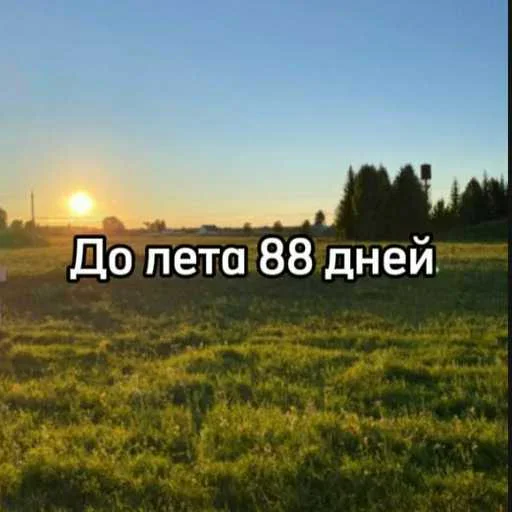 ☀️ Стикер «До лета осталось» для Telegram