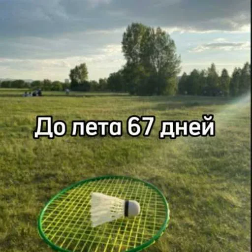 ☀️ Стикер «До лета осталось» для Telegram