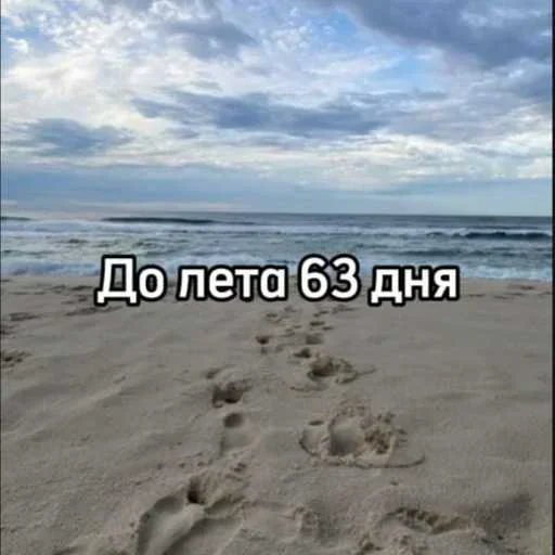 ☀️ Стикер «До лета осталось» для Telegram