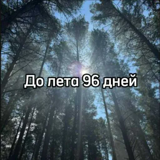 ☀️ Стикер «До лета осталось» для Telegram
