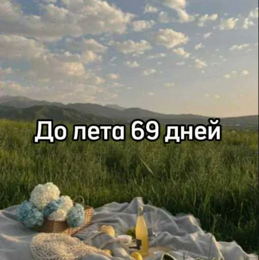 ☀️ Стикер «До лета осталось» для Telegram