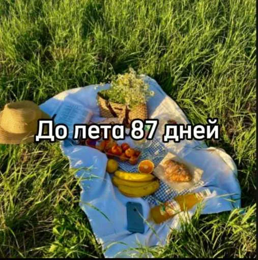 ☀️ Стикер «До лета осталось» для Telegram