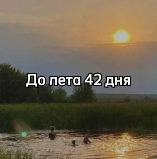 ☀️ Стикер «До лета осталось» для Telegram