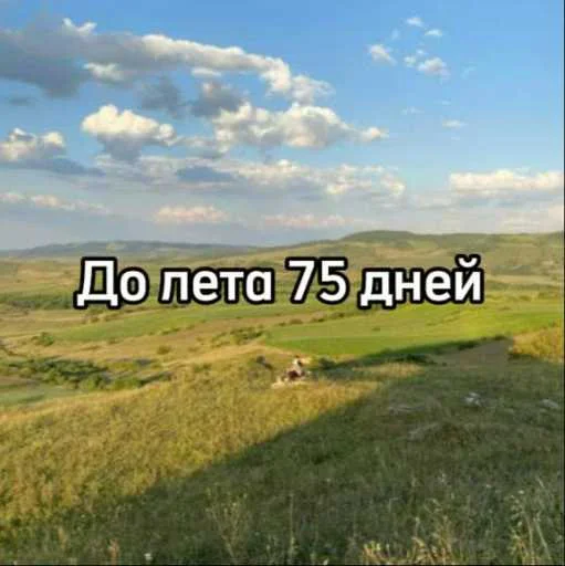 ☀️ Стикер «До лета осталось» для Telegram