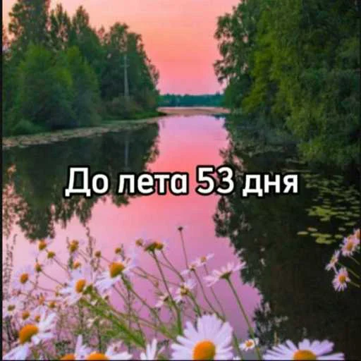 ☀️ Стикер «До лета осталось» для Telegram