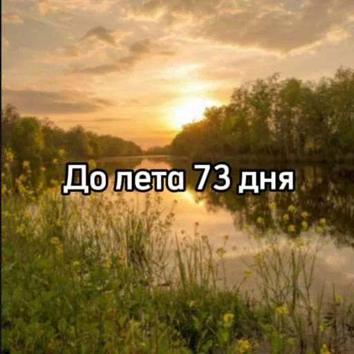 ☀️ Стикер «До лета осталось» для Telegram