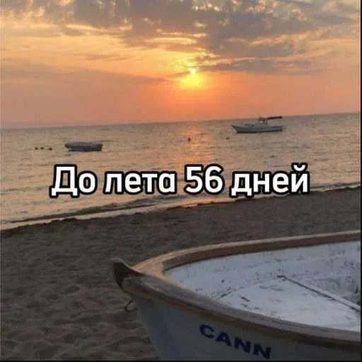 ☀️ Стикер «До лета осталось» для Telegram