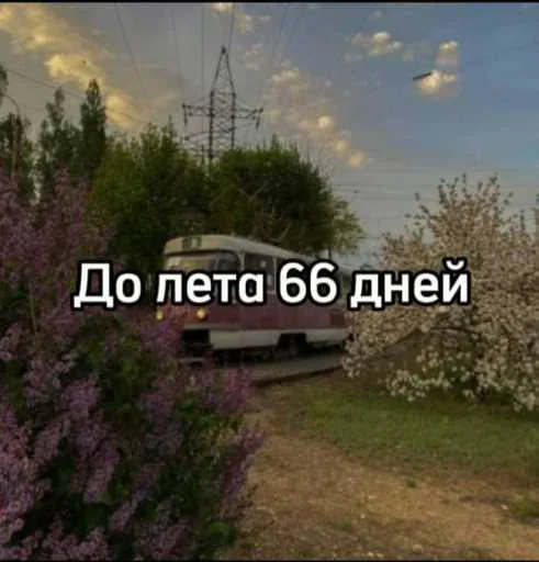 ☀️ Стикер «До лета осталось» для Telegram