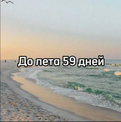 ☀️ Стикер «До лета осталось» для Telegram