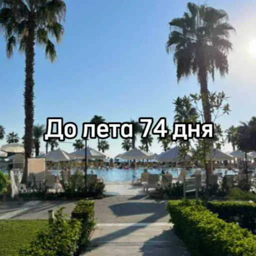 ☀️ Стикер «До лета осталось» для Telegram