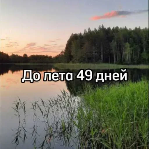 ☀️ Стикер «До лета осталось» для Telegram