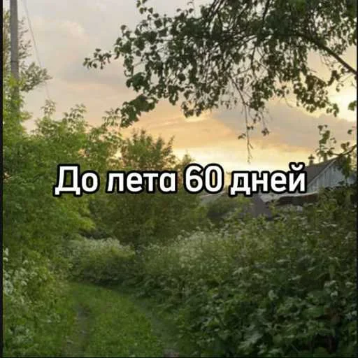 ☀️ Стикер «До лета осталось» для Telegram