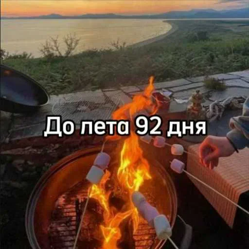 ☀️ Стикер «До лета осталось» для Telegram