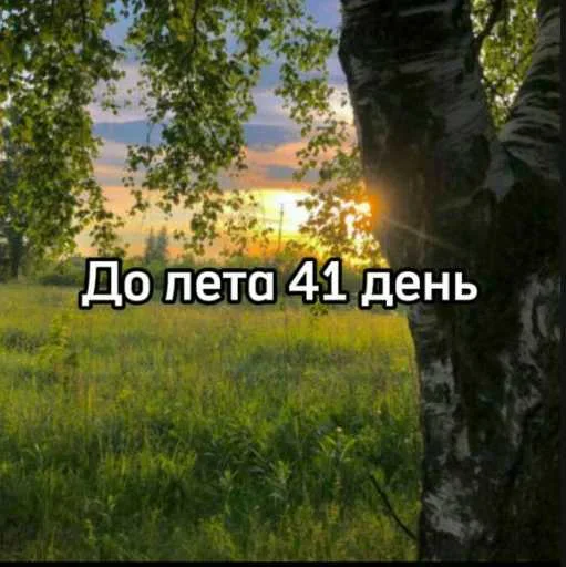 ☀️ Стикер «До лета осталось» для Telegram