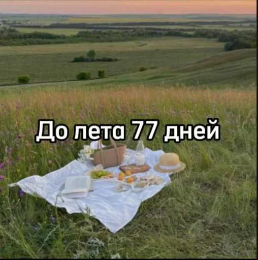 ☀️ Стикер «До лета осталось» для Telegram