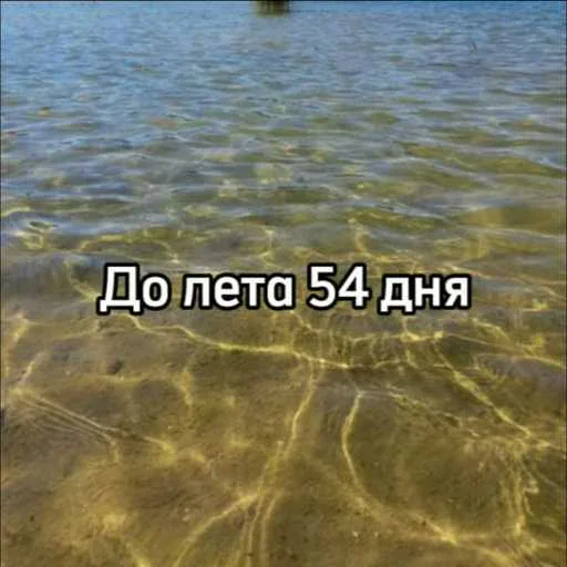 ☀️ Стикер «До лета осталось» для Telegram