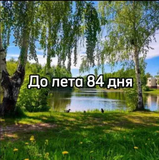 ☀️ Стикер «До лета осталось» для Telegram
