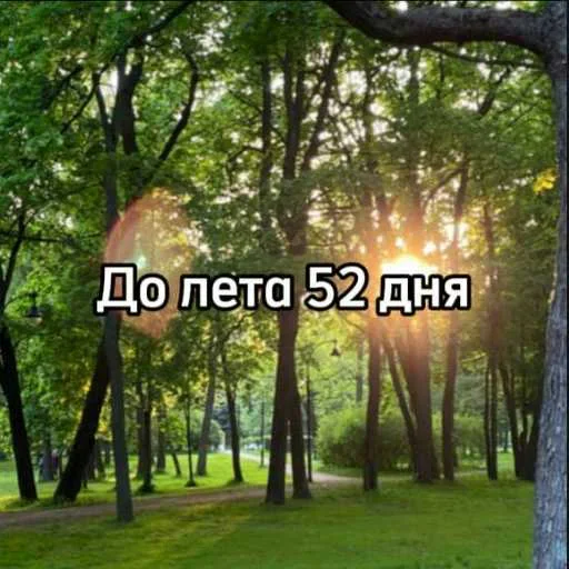 ☀️ Стикер «До лета осталось» для Telegram