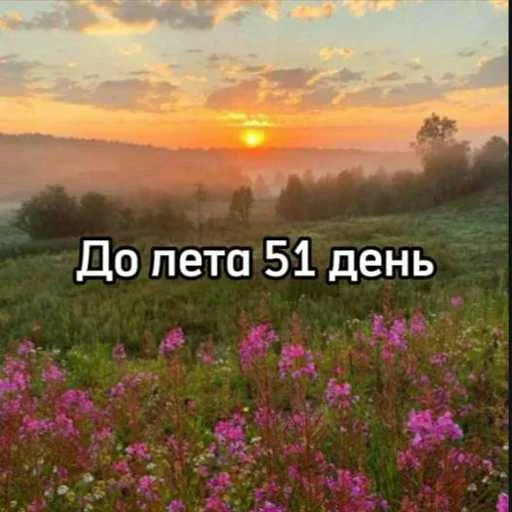 ☀️ Стикер «До лета осталось» для Telegram