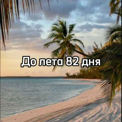 ☀️ Стикер «До лета осталось» для Telegram