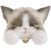 🤍 Эмодзи «dollcore» для Telegram