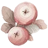 🍎 Эмодзи «Doll House» для Telegram