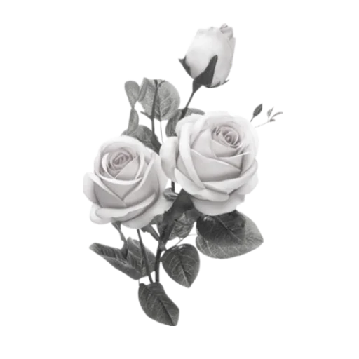 rose doll