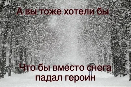 ❄️ Стикер «sex» для Telegram