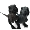🌟 Эмодзи «Dino» для Telegram