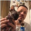 🐈 Эмодзи «Donsimon» для Telegram