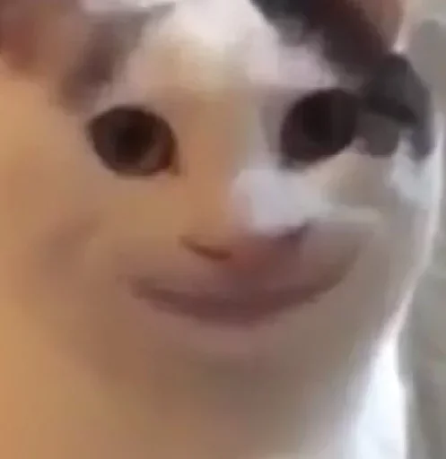 🙂 Стикер «Donya’s mood as fuck» для Telegram
